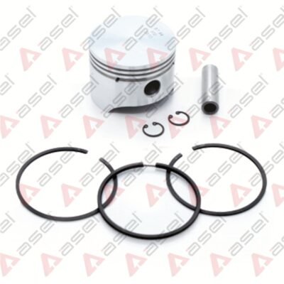 Segmanlı Piston